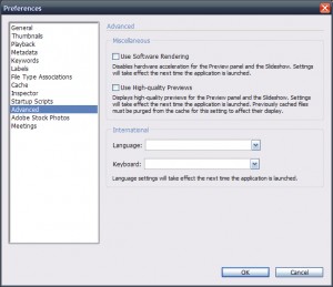 Adobe Bridge - Language Blank